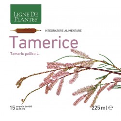 Scatola con Ligne de Plants Tamerice Integratore per Colesterolo 15 Ampolle Scatola con Ligne de Plants Tamerice Integratore per Colesterolo 15 Ampolle