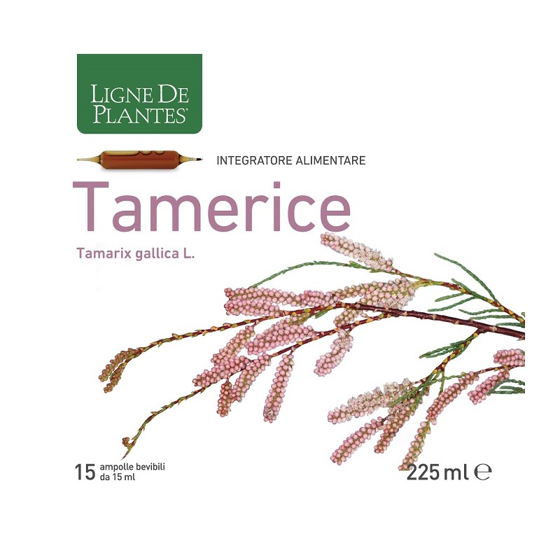 Scatola con Ligne de Plants Tamerice Integratore per Colesterolo 15 Ampolle Scatola con Ligne de Plants Tamerice Integratore per Colesterolo 15 Ampolle