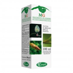 Sangalli Biancospino Integratore per il Benessere del Cuore 100ml scatola Sangalli Biancospino Integratore per il Benessere del Cuore 100ml scatola