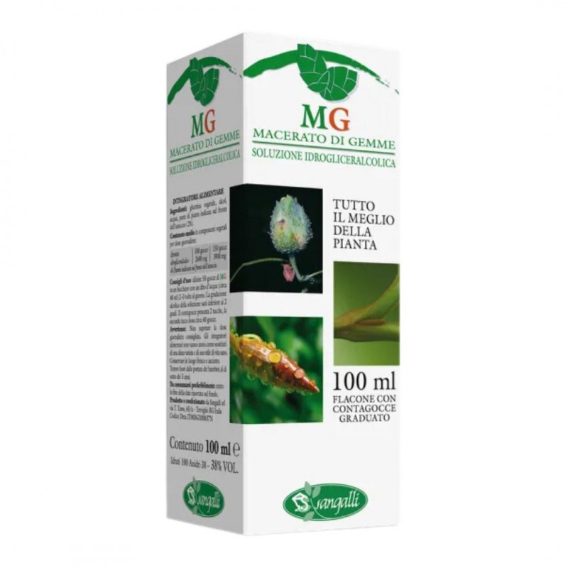 Sangalli Betulla Verrucosa Semi Macerato Glicerico 100ml scatola Sangalli Betulla Verrucosa Semi Macerato Glicerico 100ml scatola