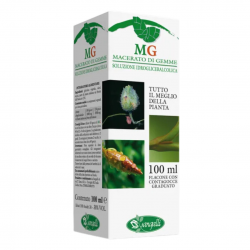 Sangalli Macerato Glicerico Limone per Coagulazione 100ml scatola Sangalli Macerato Glicerico Limone per Coagulazione 100ml scatola