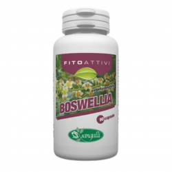 Sangalli Fitoattivi Boswellia per Digestione 90 Capsule barattolo