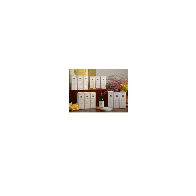 Zefirus LIPO PLANT 04 per Benessere Epatico 50 ml Zefirus LIPO PLANT 04 per Benessere Epatico 50 ml