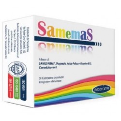 Samemas per Sistema Nervoso... Samemas per Sistema Nervoso...