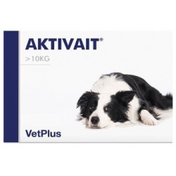 Aktivait Medium & Large Breed Integratore Cani 60 Capsule Aktivait Medium & Large Breed Integratore Cani 60 Capsule