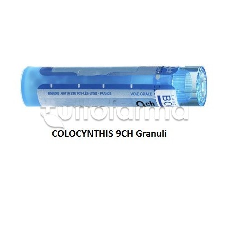 Boiron Colocynthis 9CH Granuli Omeopatici Tubo da 4gr Boiron Colocynthis 9CH Granuli Omeopatici Tubo da 4gr