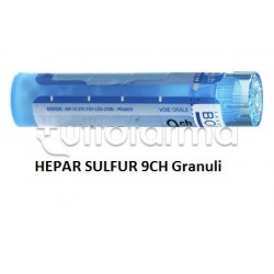 Boiron Hepar Sulfur 9CH... Boiron Hepar Sulfur 9CH...