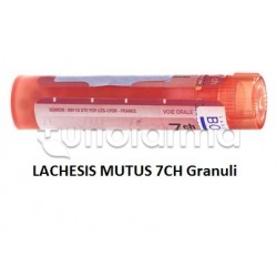 Boiron Lachesis Mutus 7CH... Boiron Lachesis Mutus 7CH...