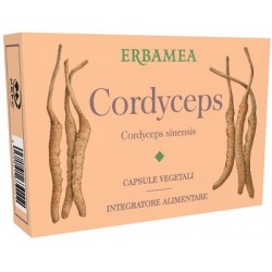 Cordyceps per Energia e... Cordyceps per Energia e...