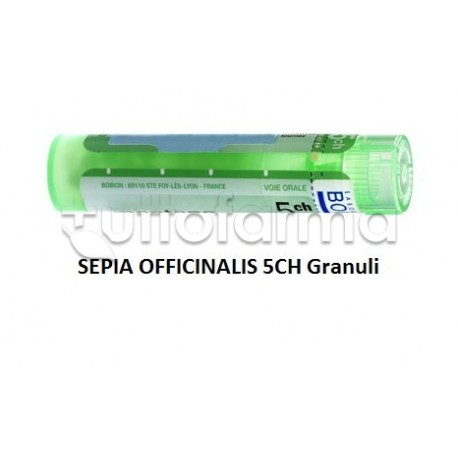 Boiron Sepia Officinalis 5CH Granuli Omeopatici Tubo da 4gr Boiron Sepia Officinalis 5CH Granuli Omeopatici Tubo da 4gr