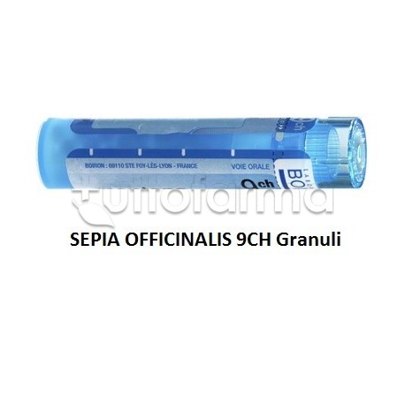 Boiron Sepia Officinalis 9CH Granuli Omeopatici Tubo da 4gr Boiron Sepia Officinalis 9CH Granuli Omeopatici Tubo da 4gr