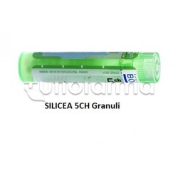 Boiron Silicea 5CH Granuli... Boiron Silicea 5CH Granuli...