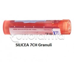 Boiron Silicea 7CH Granuli... Boiron Silicea 7CH Granuli...