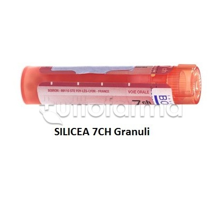 Boiron Silicea 7CH Granuli Omeopatici Tubo da 4gr Boiron Silicea 7CH Granuli Omeopatici Tubo da 4gr