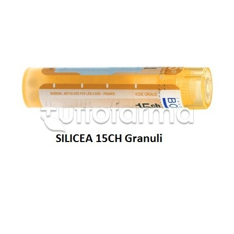 Boiron Silicea 15CH Granuli Omeopatici Tubo da 4gr Boiron Silicea 15CH Granuli Omeopatici Tubo da 4gr