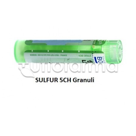 Boiron Sulfur 5CH Granuli Omeopatici Tubo da 4gr Boiron Sulfur 5CH Granuli Omeopatici Tubo da 4gr