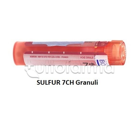 Boiron Sulfur 7CH Granuli Omeopatici Tubo da 4gr Boiron Sulfur 7CH Granuli Omeopatici Tubo da 4gr