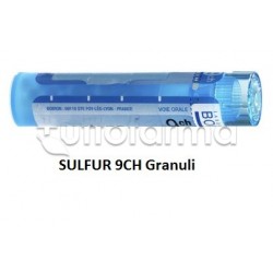 Boiron Sulfur 9CH Granuli... Boiron Sulfur 9CH Granuli...