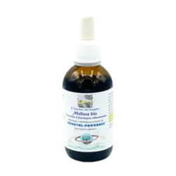Vegetal Progress Melissa Estratto Idroalcolico per Benessere Mentale e Sonno50ml