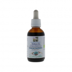 Vegetal Progress Meliloto Estratto Idroalcolico per Sistema Circolatorio 50ml Vegetal Progress Meliloto Estratto Idroalcolico per Sistema Circolatorio 50ml