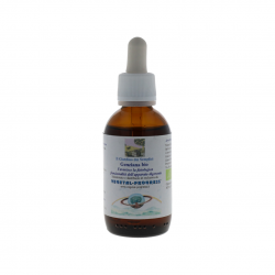 Vegetal Progress Genziana Estratto Idroalcolico per Digestione 50ml Vegetal Progress Genziana Estratto Idroalcolico per Digestione 50ml