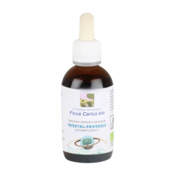 Vegetal Progress Ficus Carica S Iglic Fico Estratto Idroalcolico per Digestione 50ml Vegetal Progress Ficus Carica S Iglic Fico Estratto Idroalcolico per Digestione 50ml