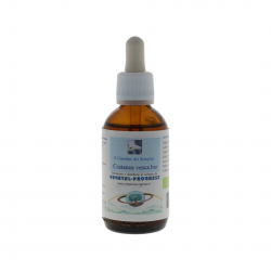 Vegetal Progress Castanea Vesca Eiglice Castagno per Circolazione e Gambe Pesanti 50ml Vegetal Progress Castanea Vesca Eiglice Castagno per Circolazione e Gambe Pesanti 50ml