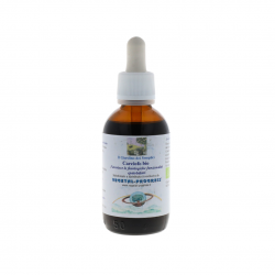 Vegetal Progress Carciofo Estratto Idroalcolico Fegato e Digestione 50ml Vegetal Progress Carciofo Estratto Idroalcolico Fegato e Digestione 50ml