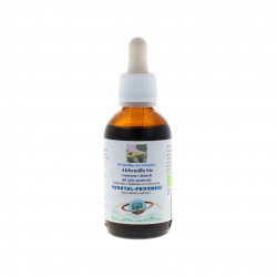 Vegetal Progress Alchemilla Estratto Idroalcolico per Benessere Femminile 50ml Vegetal Progress Alchemilla Estratto Idroalcolico per Benessere Femminile 50ml