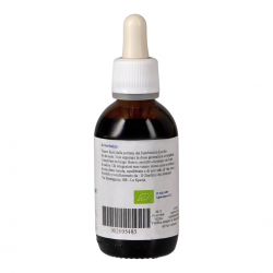 Vegetal Progress Olivo Estratto Idroalcolico per Sistema Immunitario 50ml Vegetal Progress Olivo Estratto Idroalcolico per Sistema Immunitario 50ml