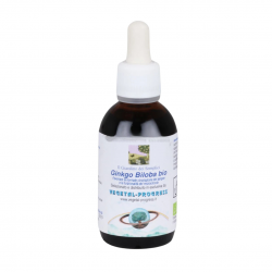 Vegetal Progress Ginkgo Biloba Estratto Idroglicolico Circolazione e Memoria 50ml Vegetal Progress Ginkgo Biloba Estratto Idroglicolico Circolazione e Memoria 50ml