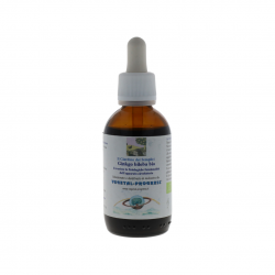 Vegetal Progress Ginkgo Biloba Estratto Idroalcolico Memoria e Concentrazione50ml Vegetal Progress Ginkgo Biloba Estratto Idroalcolico Memoria e Concentrazione50ml