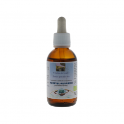 Vegetal Progress Betula Pub Betulla Pelosa Estratto Idroglicerico 50ml