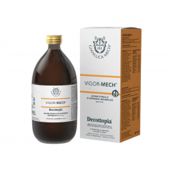 flacone Mech Vigor-Mech per Memoria e Energia 500ml flacone Mech Vigor-Mech per Memoria e Energia 500ml