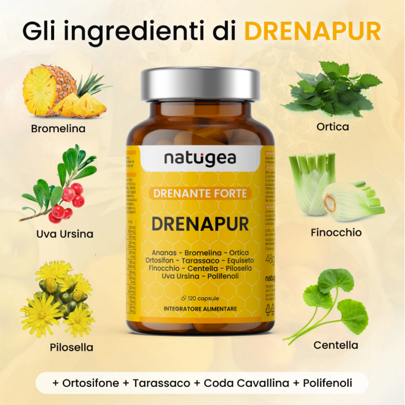 ingredienti di Natugea Drenapur Integratore Drenante e Depurativo 120 Compresse ingredienti di Natugea Drenapur Integratore Drenante e Depurativo 120 Compresse