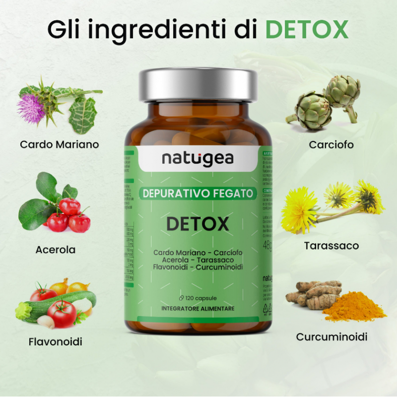 ingredienti di Natugea Detox Integratore Depurativo per Digestione 120 Compresse