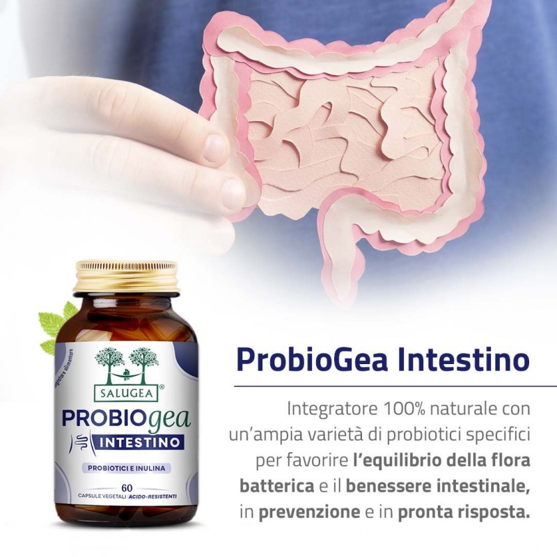 Benefici di Probiogea Intestino Integratore Probiotico Fermenti Lattici 60 Capsule