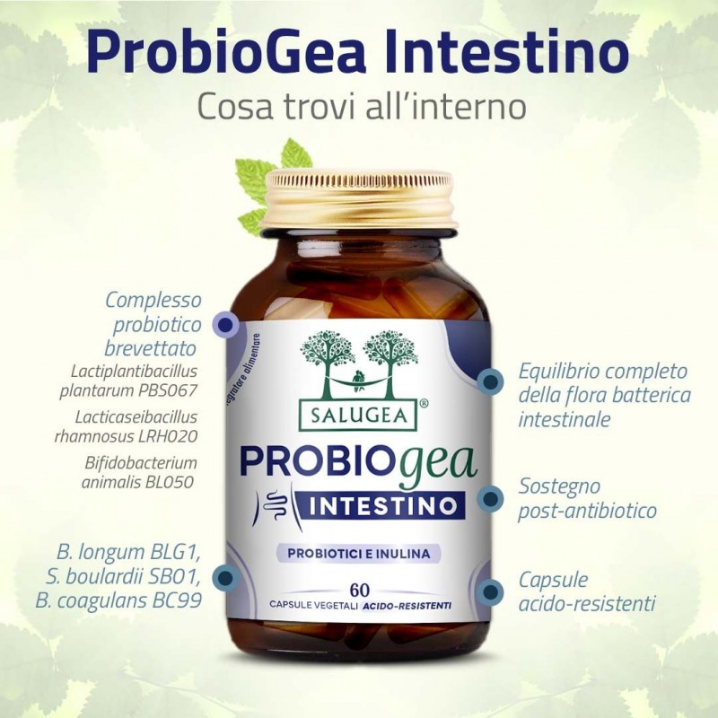 Ingredienti di Salugea Probiogea Intestino Integratore Probiotico Fermenti Lattici 60 Capsule