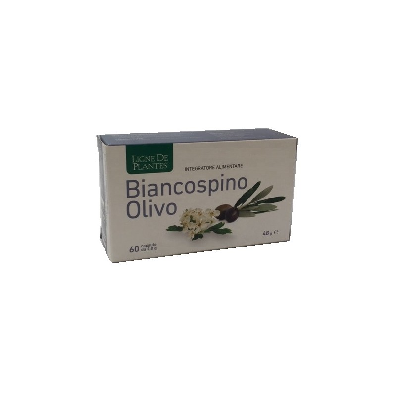Ligne De Plantes Biancospino Olivo per Pressione 60 Capsule Ligne De Plantes Biancospino Olivo per Pressione 60 Capsule