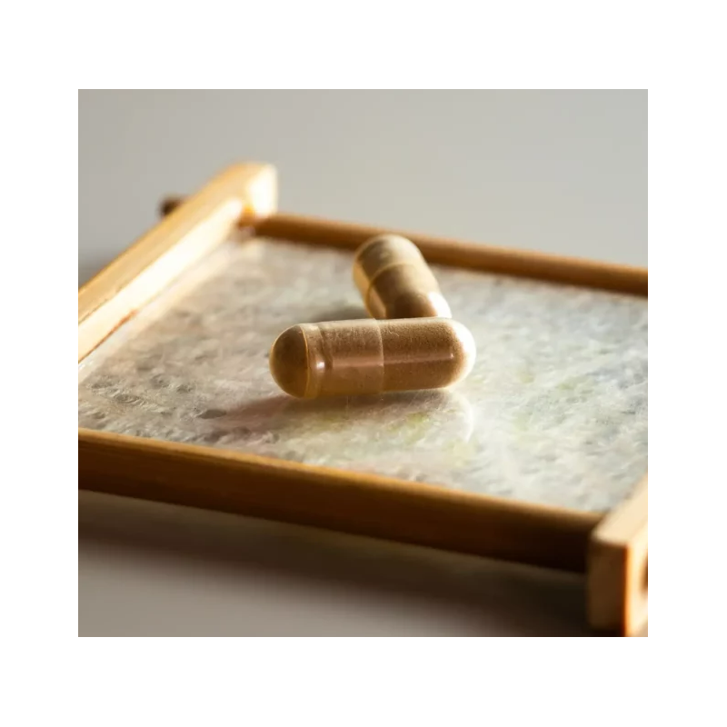 Hifas Da Terra Mico Chaga Integratore Antiossidante 70 Capsule