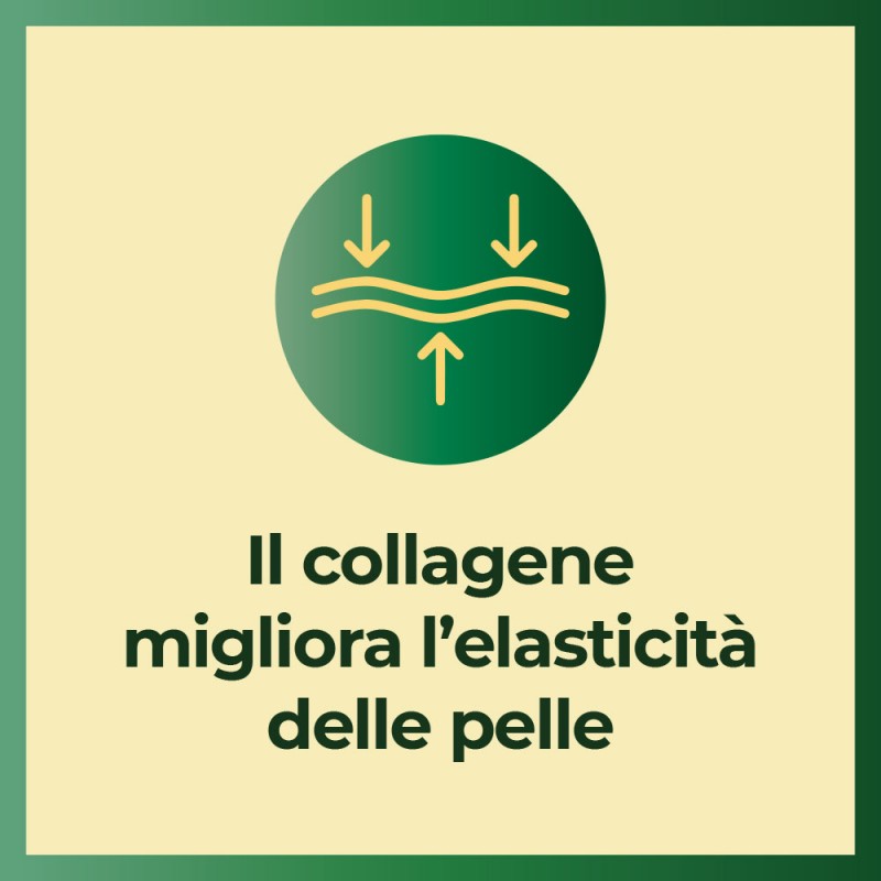 Filumè Siero Concentrato Acido Ialuronico e Collagene 10ml Filumè Siero Concentrato Acido Ialuronico e Collagene 10ml