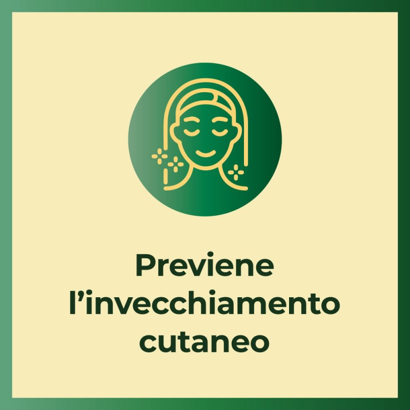 Filume' Olio Secco Idratante e Rigenerante 8ml Filume' Olio Secco Idratante e Rigenerante 8ml