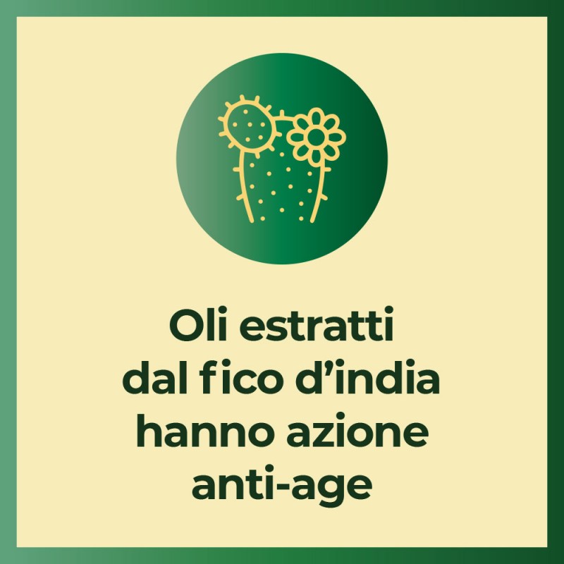 Filume' Olio Secco Idratante e Rigenerante 8ml Filume' Olio Secco Idratante e Rigenerante 8ml
