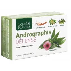 confezione di Andrographis Defense Integratore per Vie Respiratorie 60 Capsule confezione di Andrographis Defense Integratore per Vie Respiratorie 60 Capsule