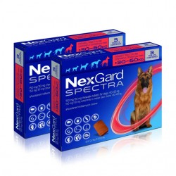 Una confezione di Nexgard Spectra Antiparassitario in Compresse Masticabili per Cani 30-60 kg 6 Compresse Una confezione di Nexgard Spectra Antiparassitario in Compresse Masticabili per Cani 30-60 kg 6 Compresse