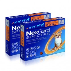 Una confezione di Nexgard Spectra Compresse Masticabili Antiparassitario per Cani 2-3,5 kg 6 Compresse Una confezione di Nexgard Spectra Compresse Masticabili Antiparassitario per Cani 2-3,5 kg 6 Compresse