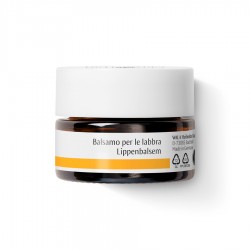 Una Confezione di Dr. Hauschka Balsamo per le Labbra 4,5g Una Confezione di Dr. Hauschka Balsamo per le Labbra 4,5g