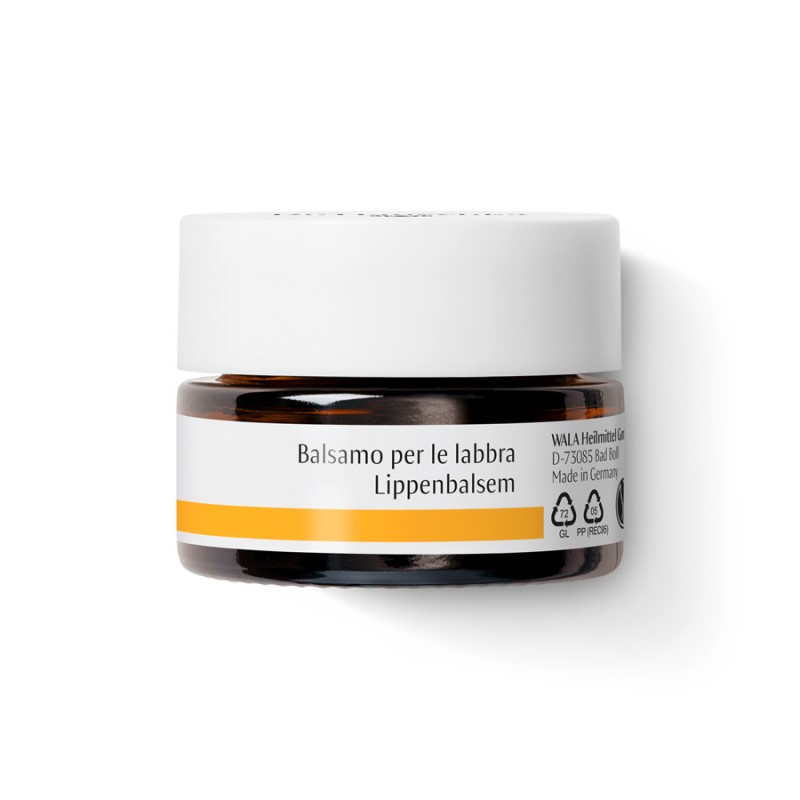 Una Confezione di Dr. Hauschka Balsamo per le Labbra 4,5g Una Confezione di Dr. Hauschka Balsamo per le Labbra 4,5g