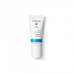 Una Confezione di Dr Hauschka Trattamento Labbra 5 Ml Una Confezione di Dr Hauschka Trattamento Labbra 5 Ml