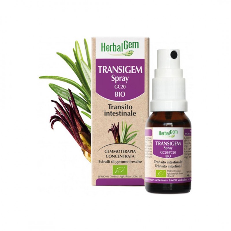 Un Flacone di Herbalgem Transigem Spray Biologico Transito Intestinale 10 ml Un Flacone di Herbalgem Transigem Spray Biologico Transito Intestinale 10 ml